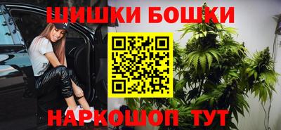 индика Кинель