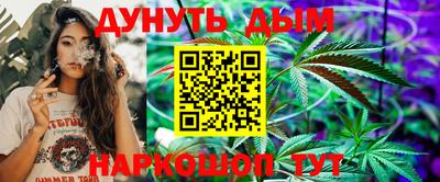 индика Кинель