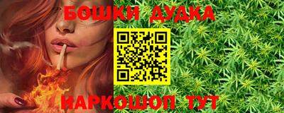индика Кинель