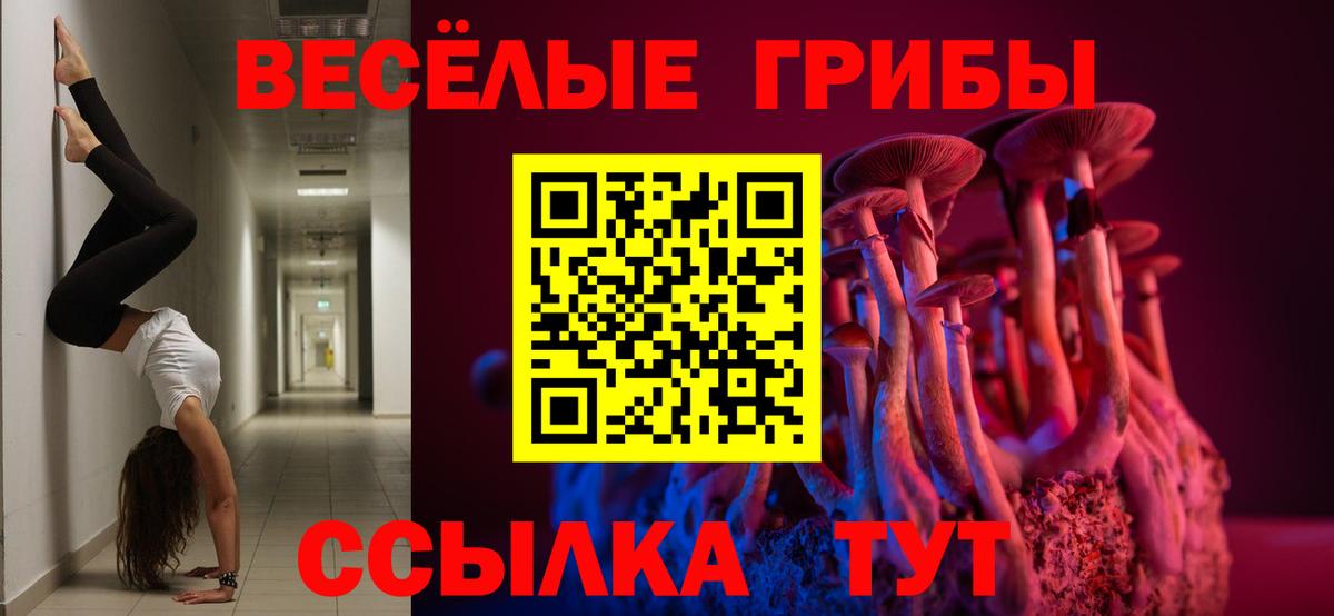 Чита  Галлюциногенные грибы ЛСД  Галлюциногенные грибы MAGIC MUSHROOMS  Вход с VPN 